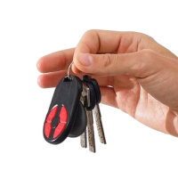 Vehicle Leasing & Rental Services