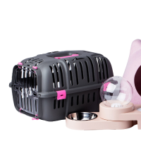 Pet Furniture & Accessories