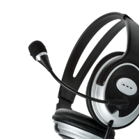 Call Center & Customer Support Services