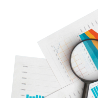 Market Research & Surveys