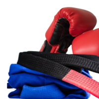 Martial Arts & Boxing Equipment